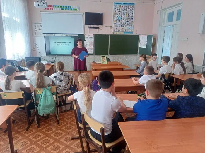 экологический калейдоскоп (8)