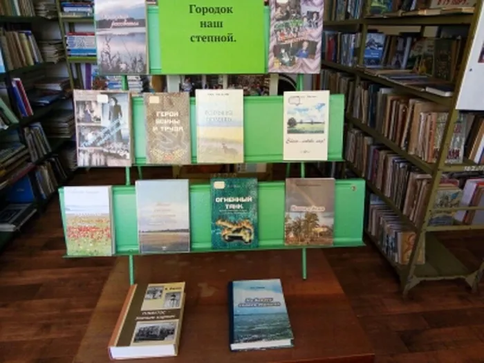 7.Книжная выставка Городок наш степной