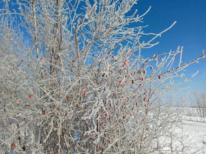 4YL9qS0aNHp4STj-CjAIP7ry-Fnle3uYQTzf7pZaS32pqIdw7JHFAxv4Rfgl3Jr9ZdQ3-k5kjaT6f_DqTwQ8GZro