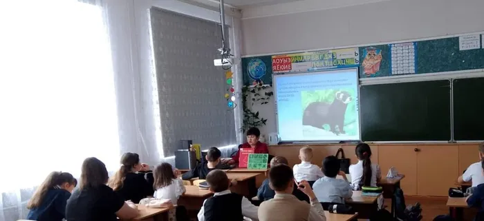 Просмотр презентации