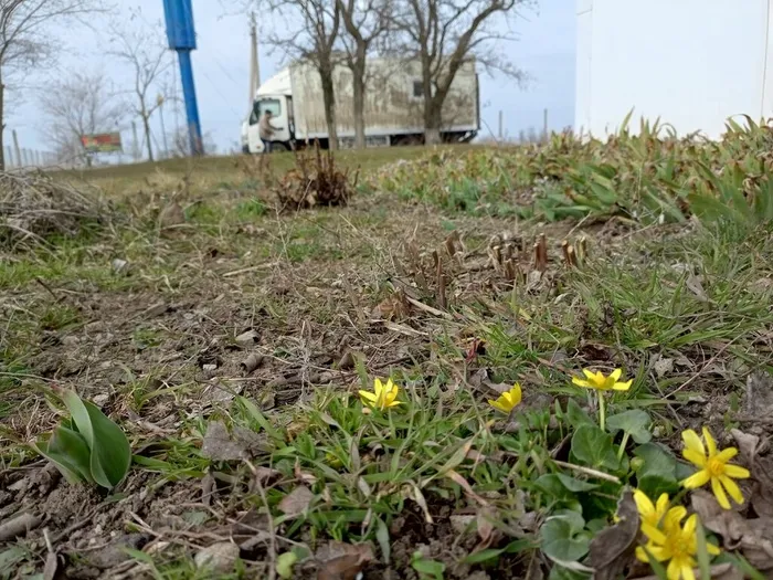 Q9n4Q8Sr93rC5gpzMLLrc2s8eyCbfAm59oH5U21iW9Zq3iQmsl0U_DgD6jEVLDHVo3pCX00WwA0ZwchG8y7Op2Nc