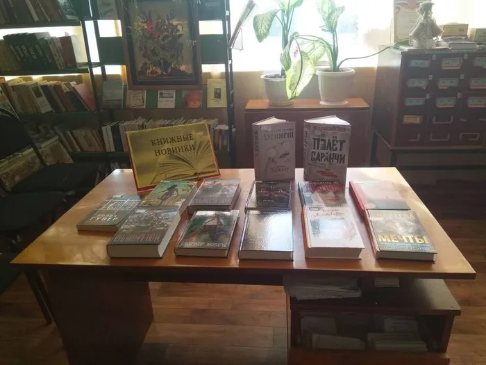 1.23.11.2024 Книжная выставка  книжные новинки