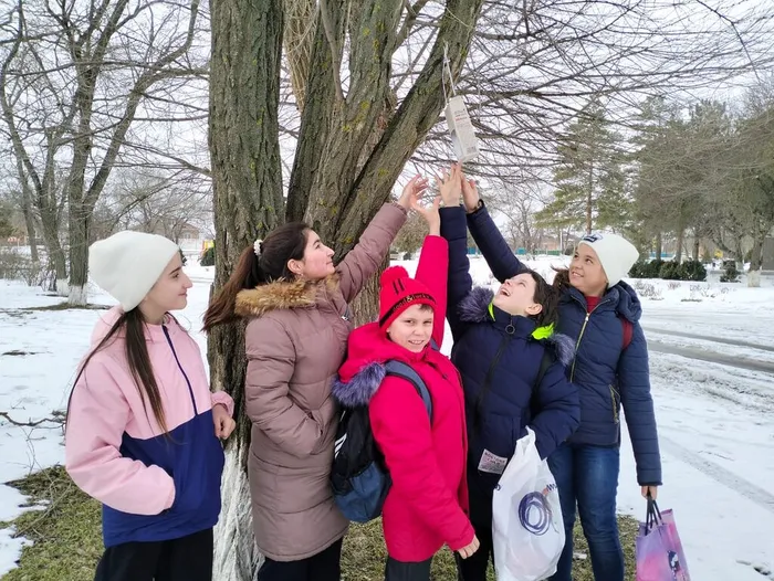 Кормушки для птиц4