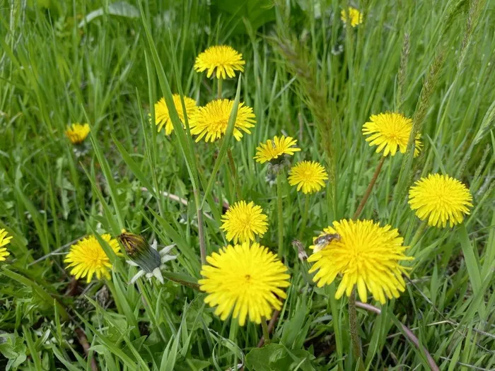 _nJMf_rumCVMGromR9HCOXRKJtOt-mFGCKLv1pKoU3MEXmtGCsqVmpsul62I5d4CrTsX4AJmdRoEEueA_z54GfEU