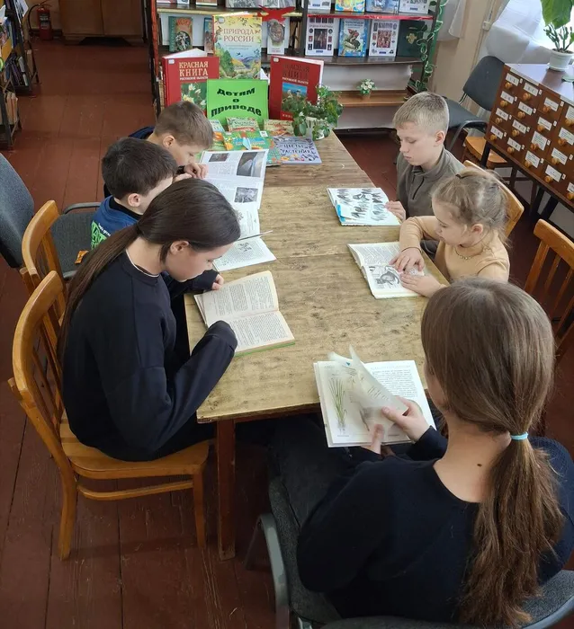 Романовка 2ф