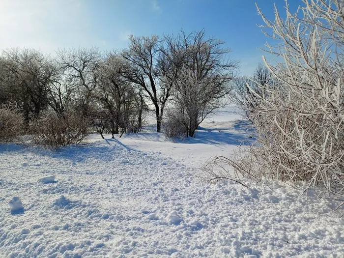 PzkxmzhzBGOpktWxOFi2vade3XG4pVg8FYcK8FMOZuIZ5LM9CK-MC0qN2rLQDcdai_4U7i6I4jsjR_oD-gNLrRTk