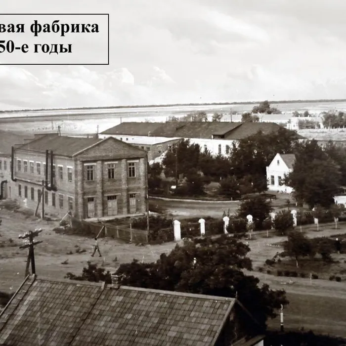 1950-е годы