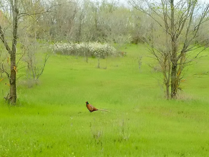 RwYGMLXfOVnm3AVsEgYzW2VLvggYdVL6fBpe0Zot1DS0cjutYqgBm-eUeKFYSonuWoBOpnvfJXTg4VaMT95BgpLZ