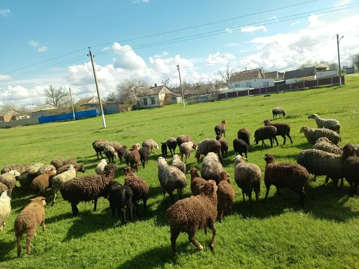 WuWiR2I14q8L-9dGSCOsUIpwGDgfMElM-5BxbwTmckMer2axF4A4sy435bVOCeWYO-BucMwu5lxsPPzi6KqG7kD9