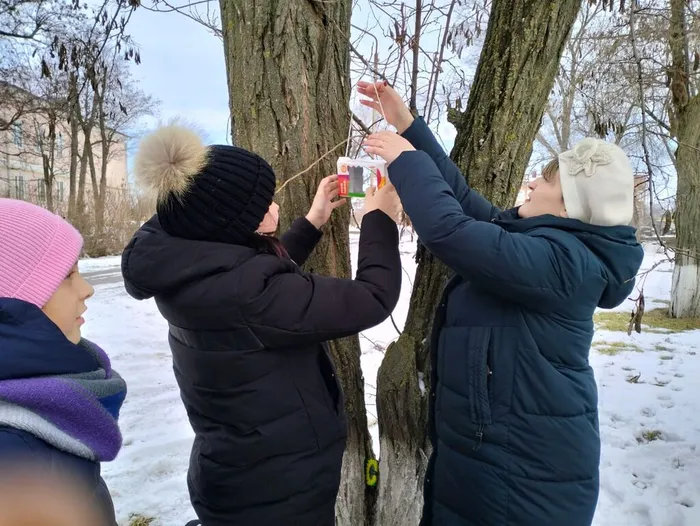 Кормушки для птиц3