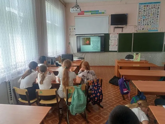экологический калейдоскоп (4)