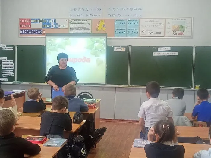 Загадки мудрого филина (1)