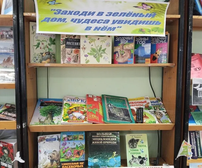 19.02.2025 Заходи в зеленый дом, чудеса увидишь в нем.