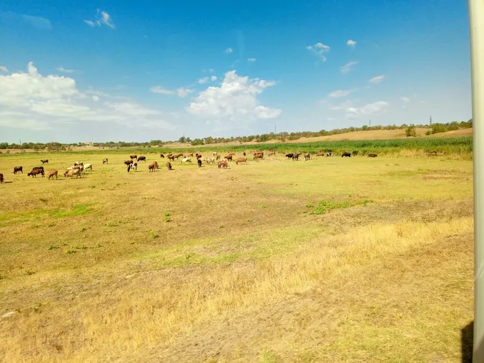 29fc8833-3d6f-4a9d-86eb-bbb22dc01c6b