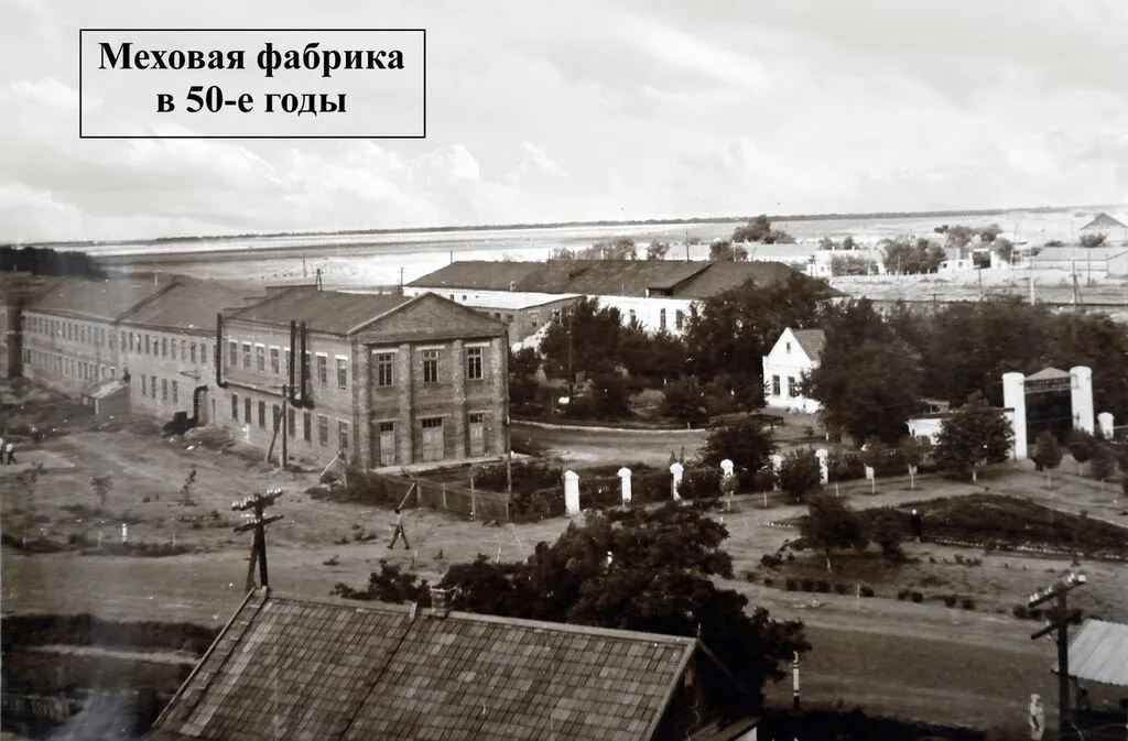 Меховая фабрика