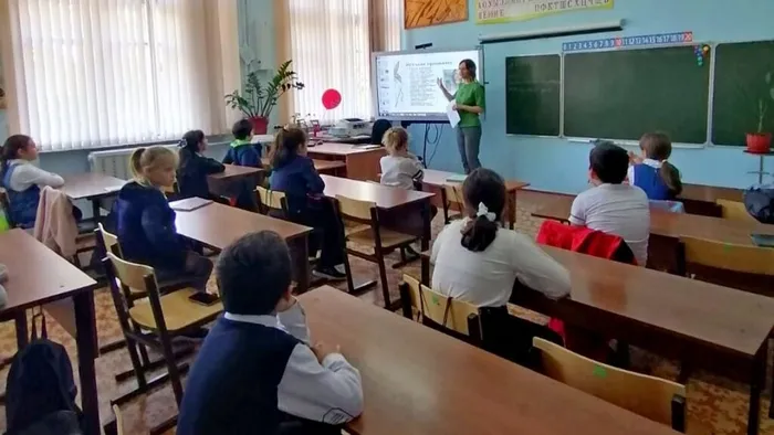Эти забавные животные  (1)