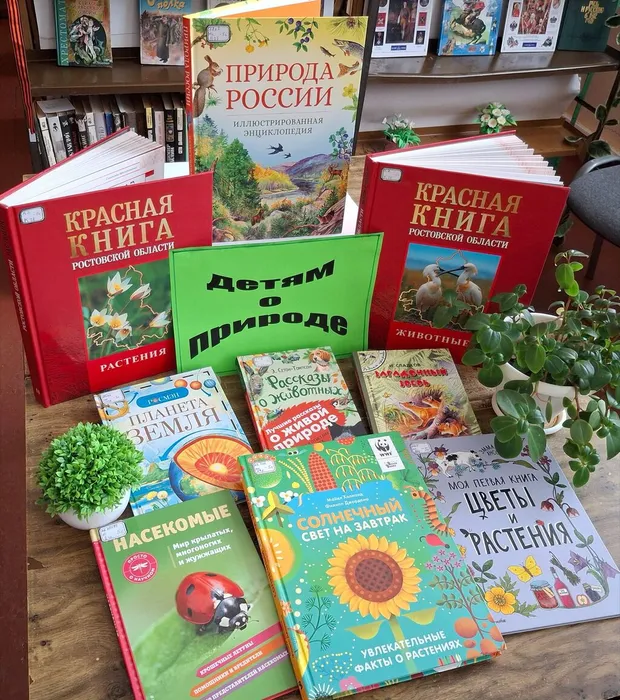 Романовка 3ф