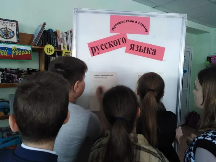 т5