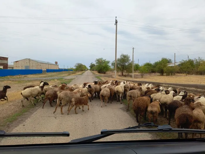 91802be7-8e56-47fb-b180-9497b9316e89