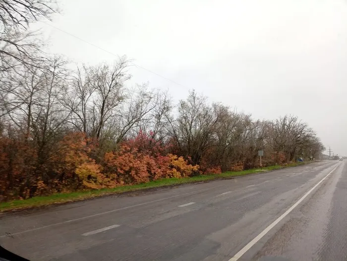 d5439be4-c41d-41e5-94cc-78abdc4f67e5 (1)