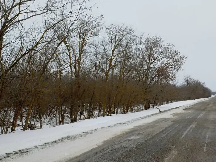 AEDRm2AVOP-UAKP4-4mCF0V4YKedwHkPnaW9xjlmVA7U4We1ONVmRTYDjLMZ9rsAvvLeghmQG0GEiBXk009M6epy