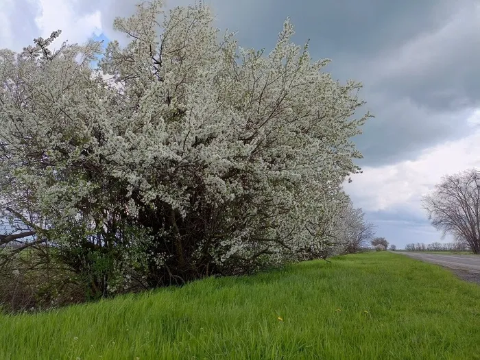 HZDFGhBudNbtrzgK3n4f8g2fbD6mj1GfJEYGCJd2GZ99t8wf6xz0yYMgpyvEIspf6P_5xfCSYsIJrBJ0Zp8MPMiJ